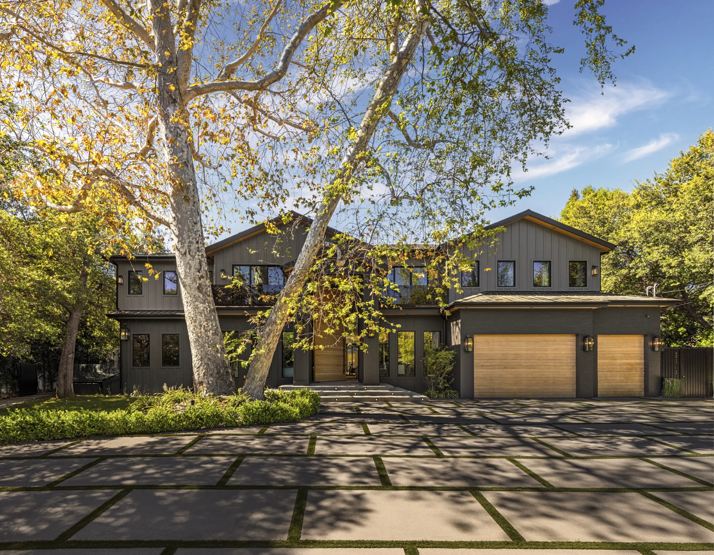 Dark contemporary facade with a tall light wood pivot door, sycamore tree, and grid-paver drive in bright sun.